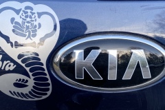 cobra-decal